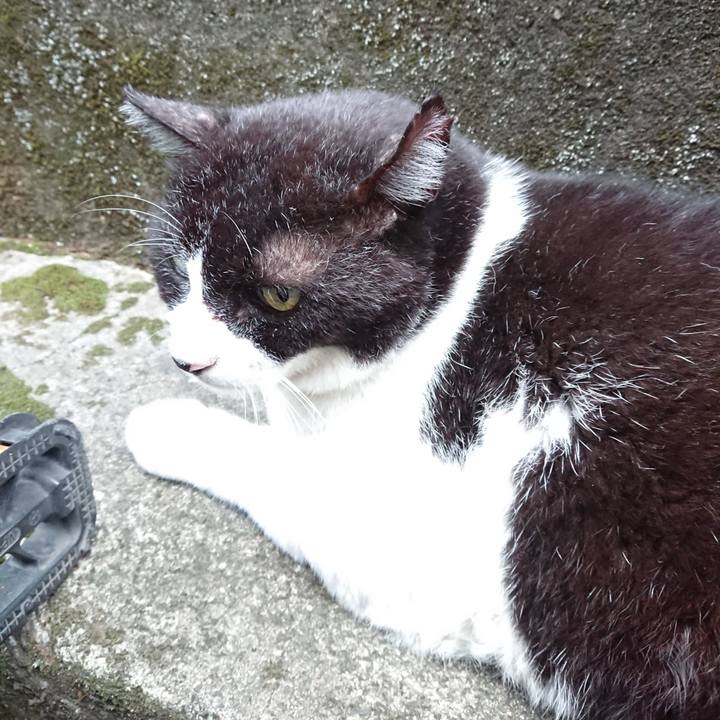 2b308c1e 524c 4761 97a2 ad672e108035 1630226632890