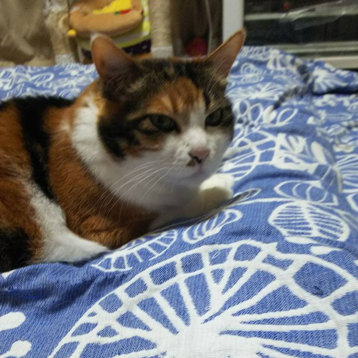 2b30c9c9 4704 444b 86f8 3541a70f39f7 1527435549542