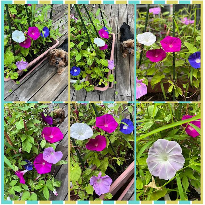 2b30cffd 0b09 4343 ab1a 556f710b0f93 1725318399538