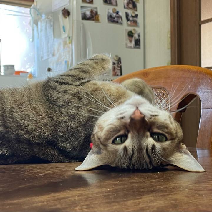 2b30d362 7be1 439d 8dae 7c9c3144fc79 1672723806842