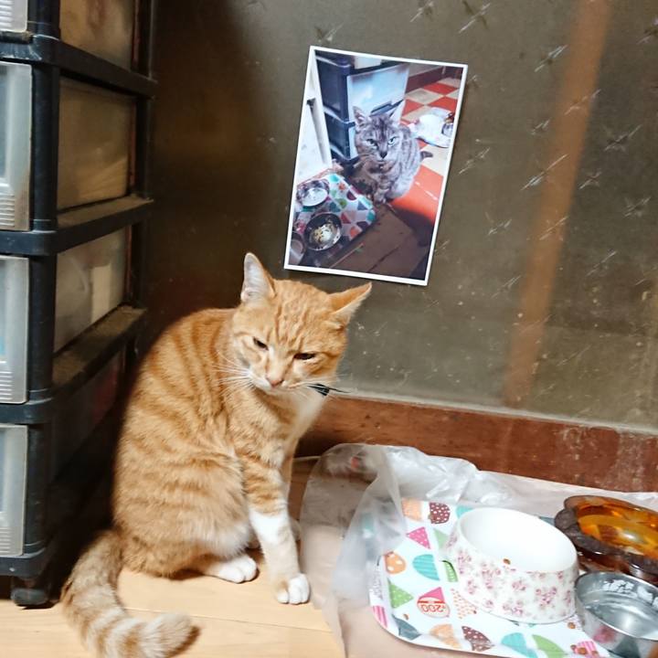 2b31573c 0b4e 4bbb a2bc a1909e63c56c 1602705776786