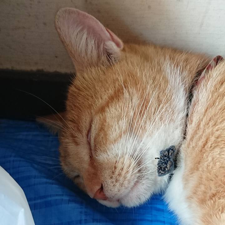 2b318f68 4413 4860 b84f 0bf2c0afcf96 1567832135797