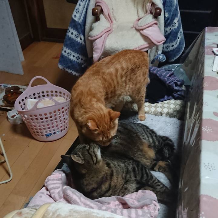 2b31975e 5461 4323 baf4 c2fed084f92b 1644570823957