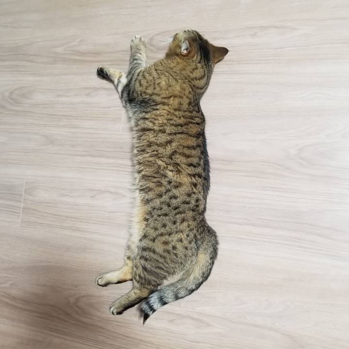 2b31ff17 e868 4b2a 80f7 c638cf3607ad 1614116543138