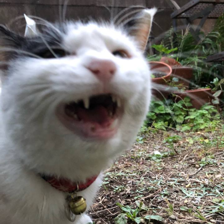 2b3202df e855 4b1c 887b da8275f197cf 1606687882938