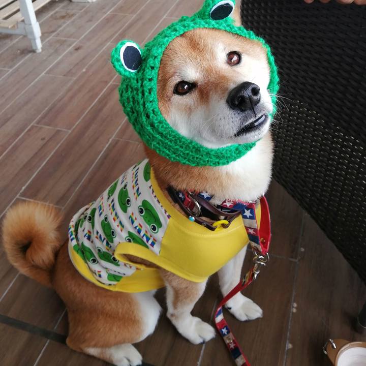 2b320f21 a03e 44c2 83c0 81e99804cbf9 1655038571111