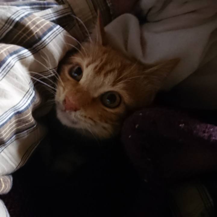 2b32268e 360a 4257 9ec9 7490c1d0f573 1638478037853