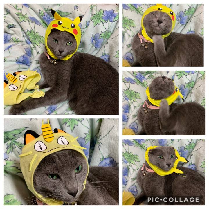 2b324727 bb34 4e73 a6c5 74ce0dfe3092 1574227939334