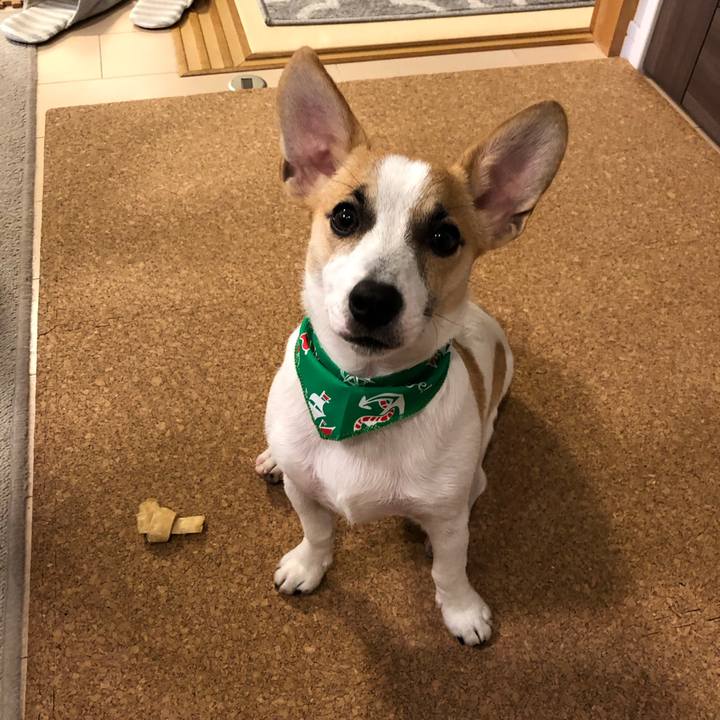 2b324d2d 3bf1 4ede 8796 0afe68e9bf8c 1562499467054