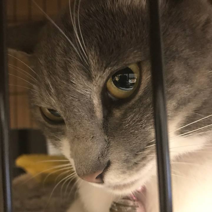 2b32553d 199b 4e57 92cd e77e12e89143 1518168025090