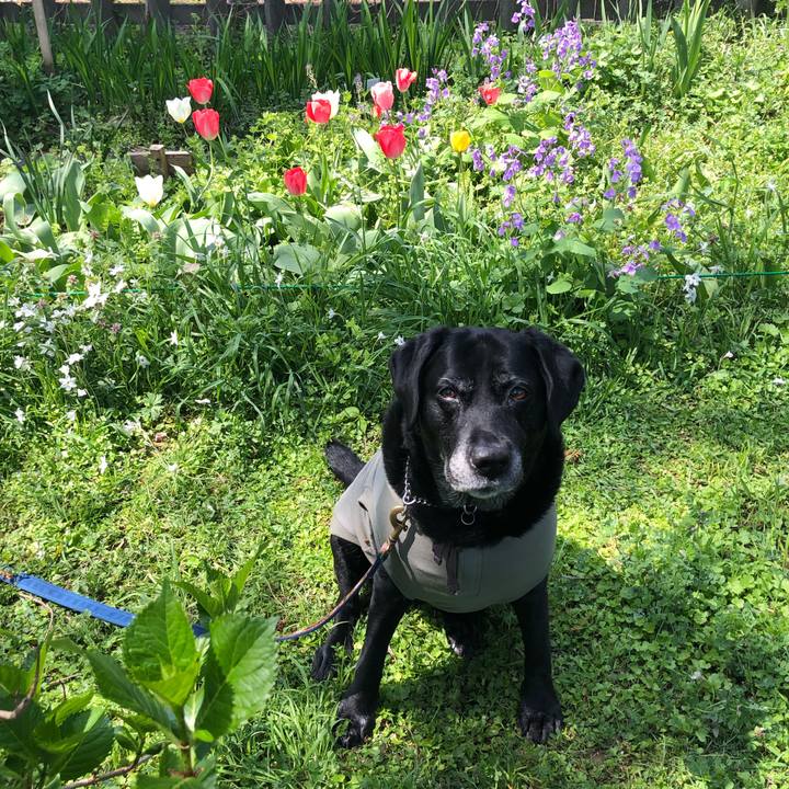 2b327153 d2b8 418b 90e5 ce0f9a26e34e 1585878231594