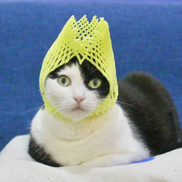 2b32bd2f f80a 4c8d 8ddd 445351486277 1615469893233