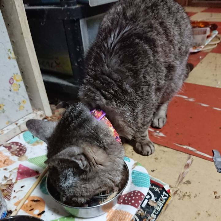 2b32bf8c 0721 4144 94d3 bf060069acfb 1592166110339