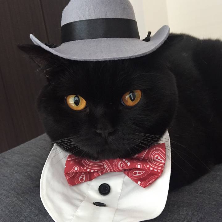 2b3306dd 3a10 4703 8819 9f0a6148faed 1508019893621