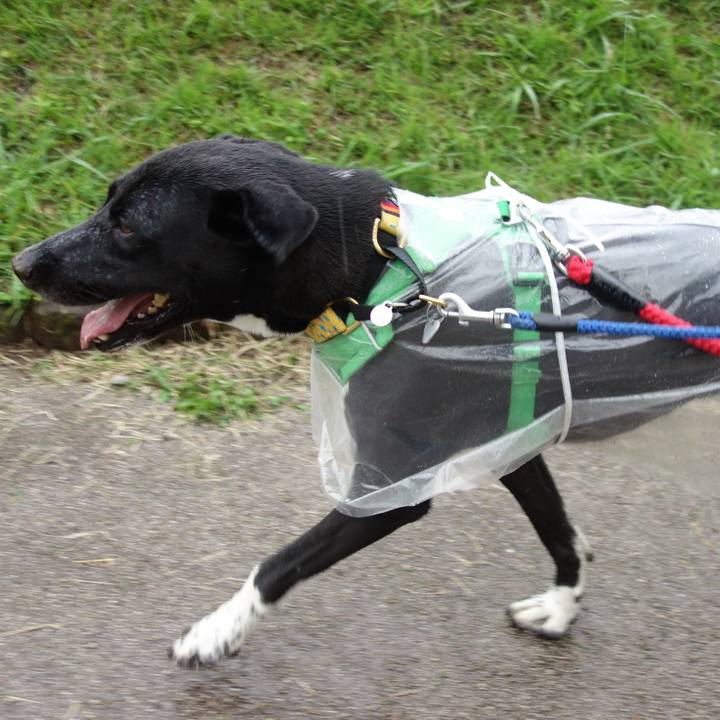 2b33123f c792 4dc7 a3ae c7138741b377 1593303340039