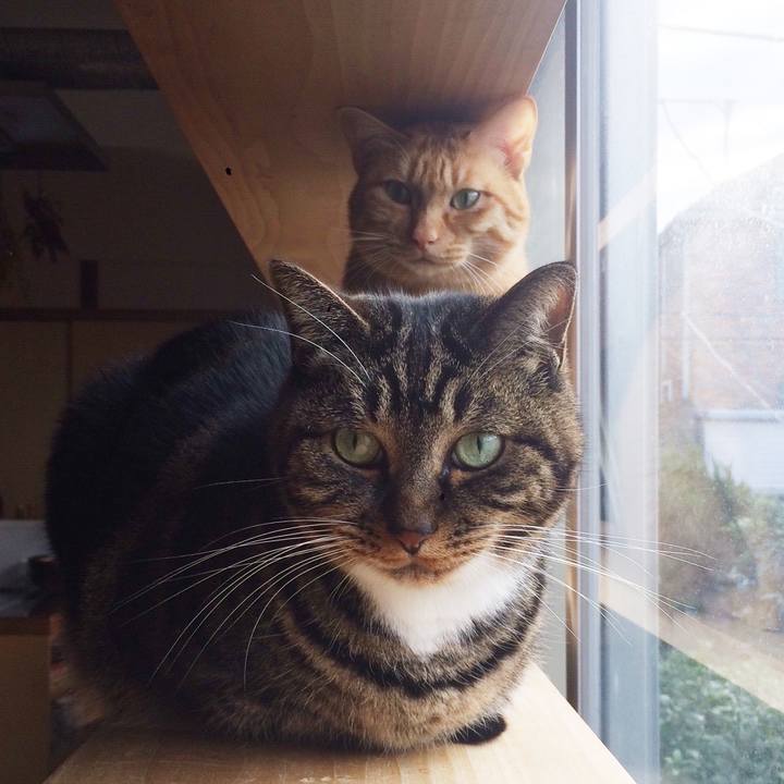 2b3333a8 61a7 4f00 b3f3 b1e1ede76ca6 1510877478103