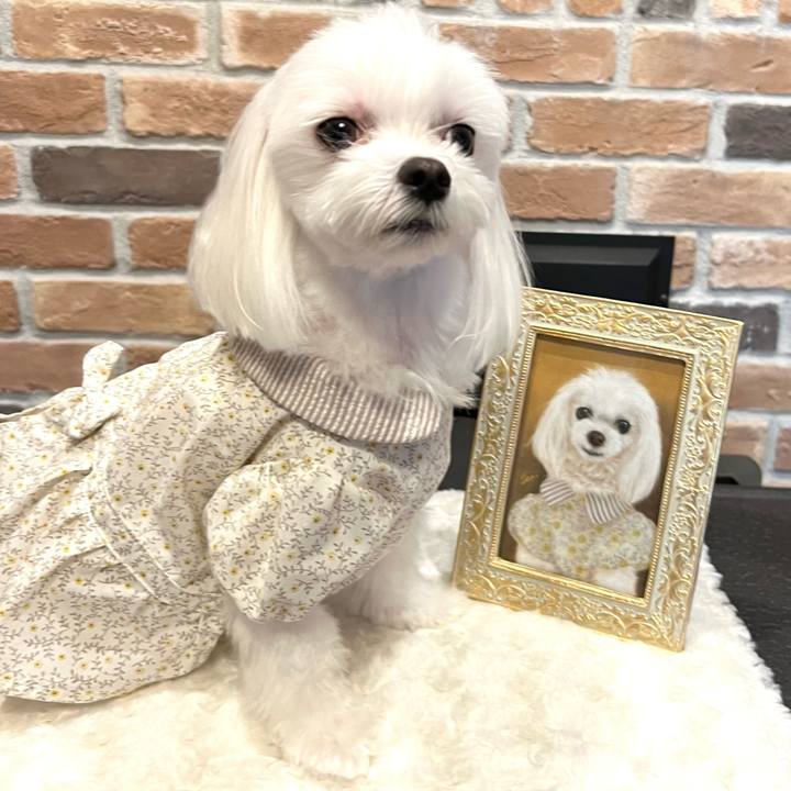 2b33a0d2 cfcf 45ea 93b3 78226257f039 1759015189744