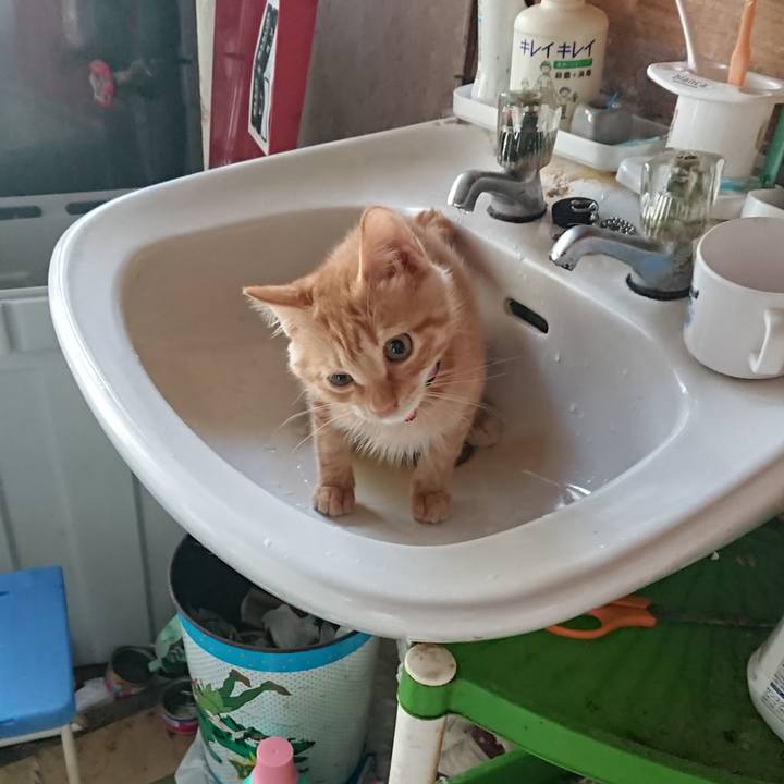 2b33adf3 1181 4e3e 9b68 ed4aeaf5f464 1632691745174