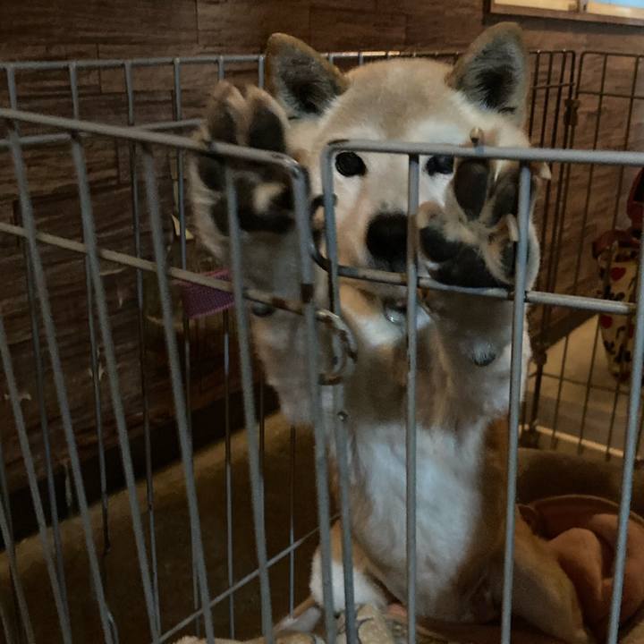 2b33b577 4745 41ed 8917 db863b0f74d5 1710920413439