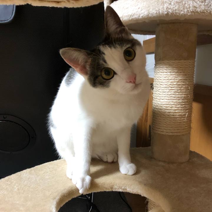 2b33c0e7 4ca5 4522 89b9 09c14e2047c8 1588598041372