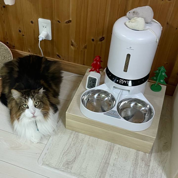 2b33c100 e61b 4b4f a934 bf3d85f07b04 1733172921642