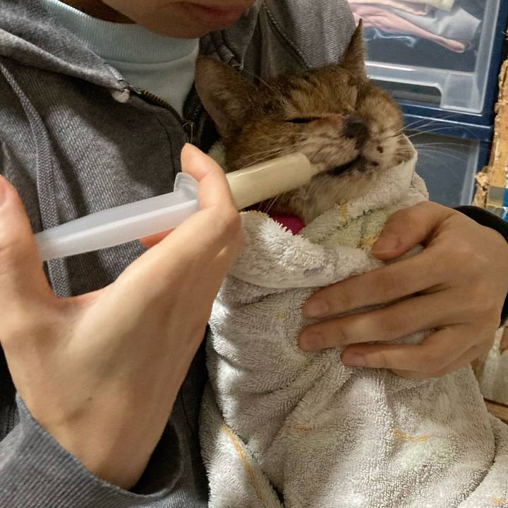 2b33d690 2fd7 40ef aa15 38f4caee80c3 1614569035407