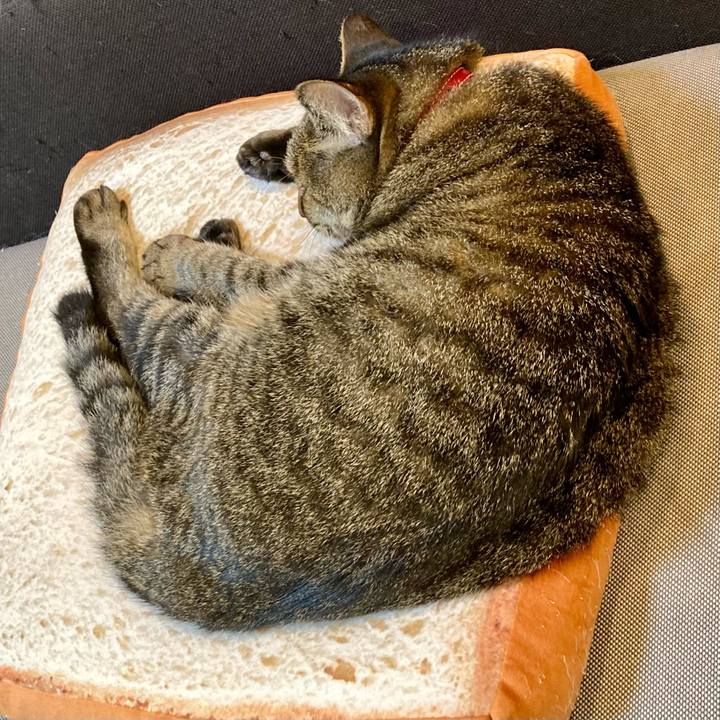 2b33d7bf 7041 499f 904b 2b4d13f0971c 1632920965910