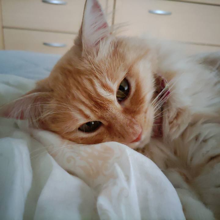 2b33ea2a d192 4bd7 bc03 9b2195fa61ea 1687830243864