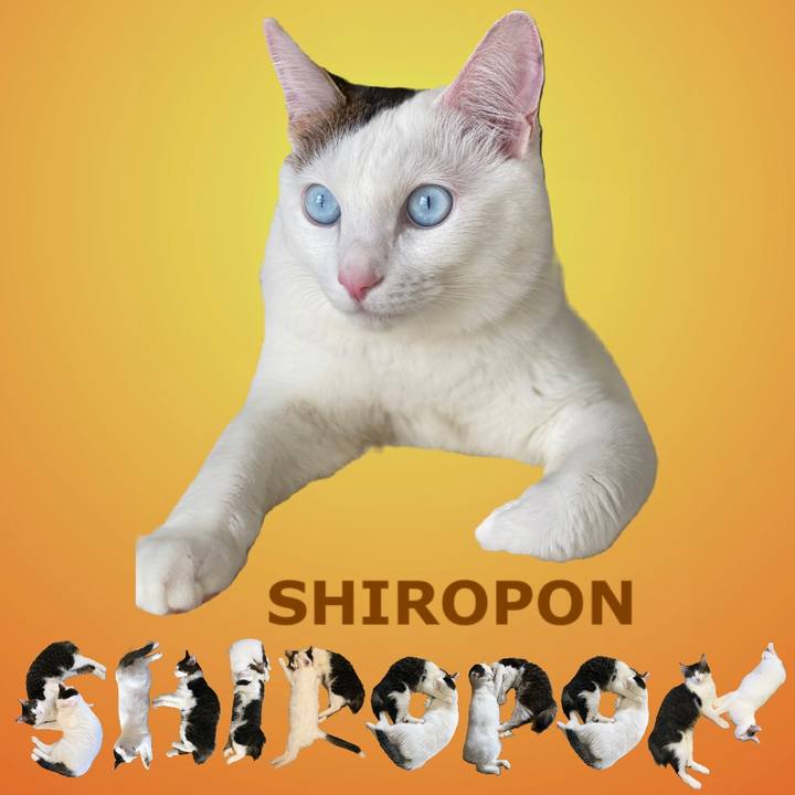 2b33fb7a af7d 4b88 8af4 6373b5a2272f 1669849479751