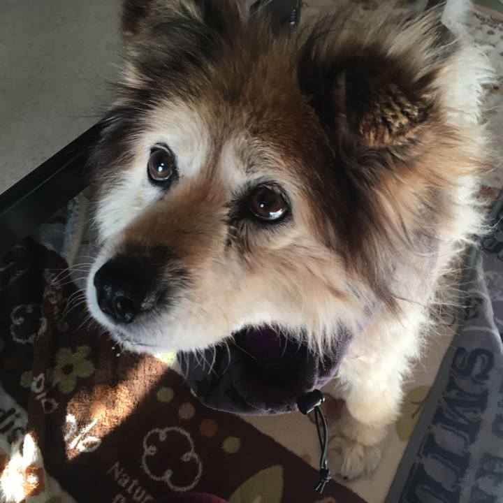 2b342c6f 1281 4d84 b995 cf2dab589745 1606630533136