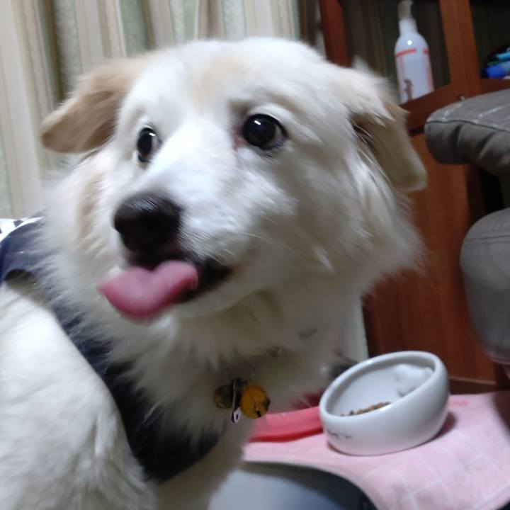 2b3453af 55cf 4267 ad2f db0736c72141 1644357264054