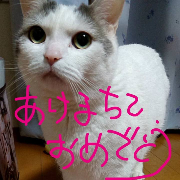 2b346168 806d 4d9e a950 cfbc79c69a2f 1546410580526