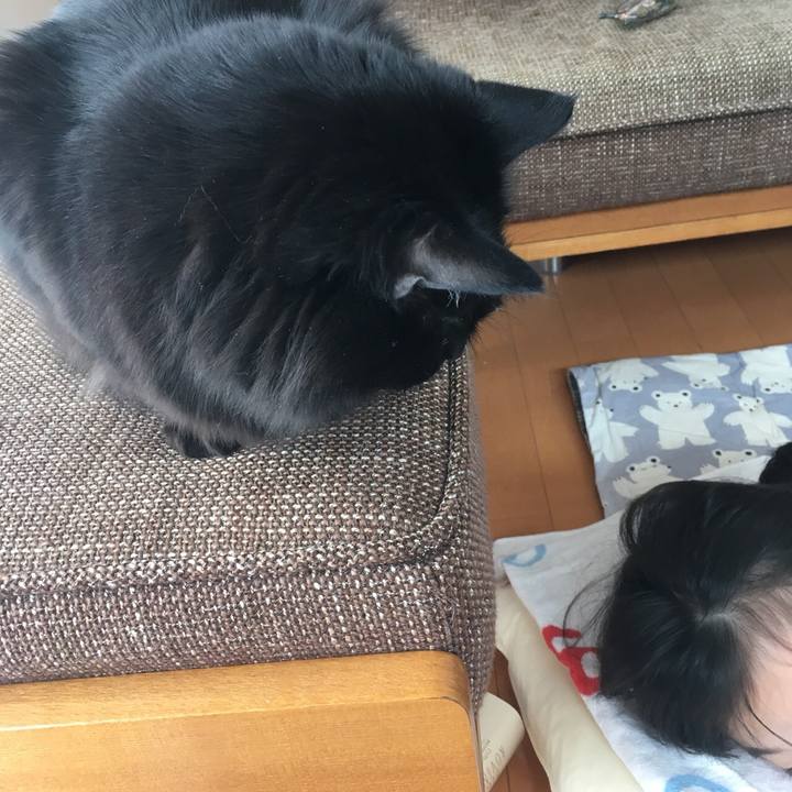 2b34650b 27a0 4cd0 8f90 7e47cf791a23 1517894563997