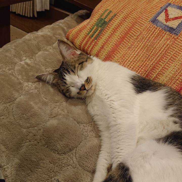 2b3466cc f15e 4ffb 9558 6ee565dd9eb0 1635120787081