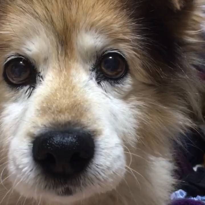 2b3495c4 3996 480a 9e48 54df8272906c 1548975985515