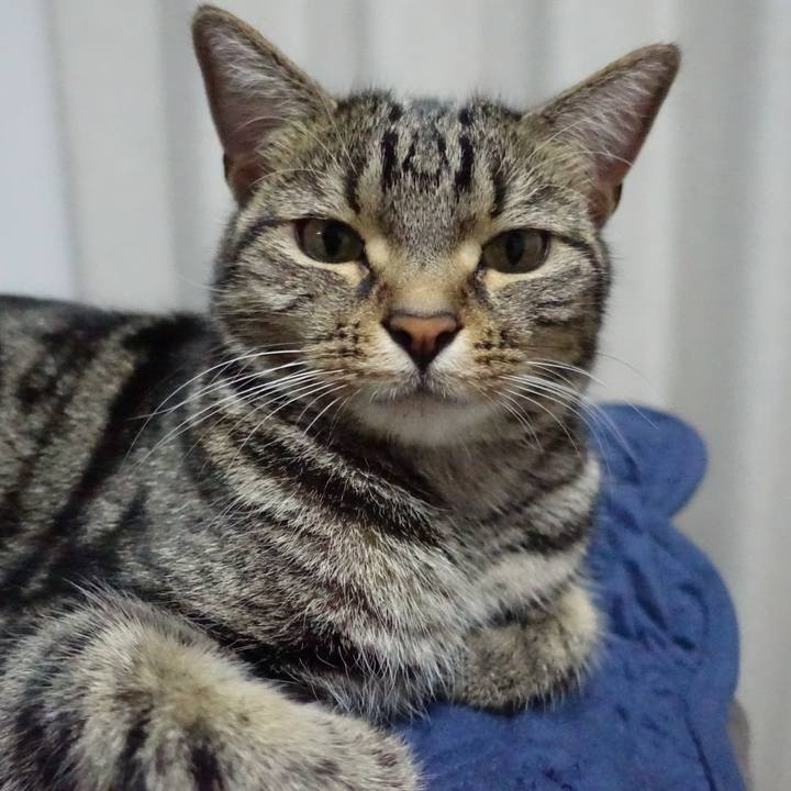 2b34a8b6 5964 41f8 b5e5 475e57b6defd 1529240711963