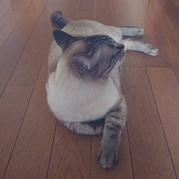 2b34b3a3 496a 49e4 9bd1 f630364da236 1716454396615