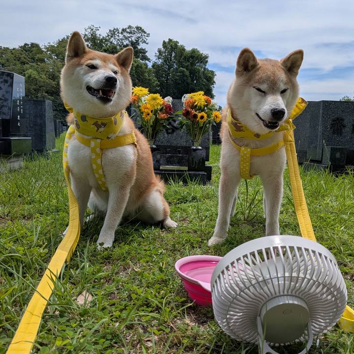 2b34b688 aa2c 44da 8396 a14c6c44950e 1753618575404