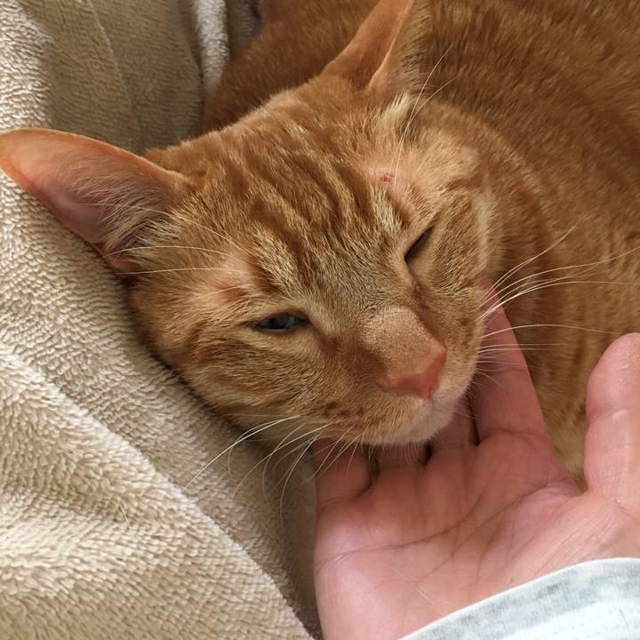 2b34bc94 455b 4c8d 8647 2972e63ceb52 1586996253747