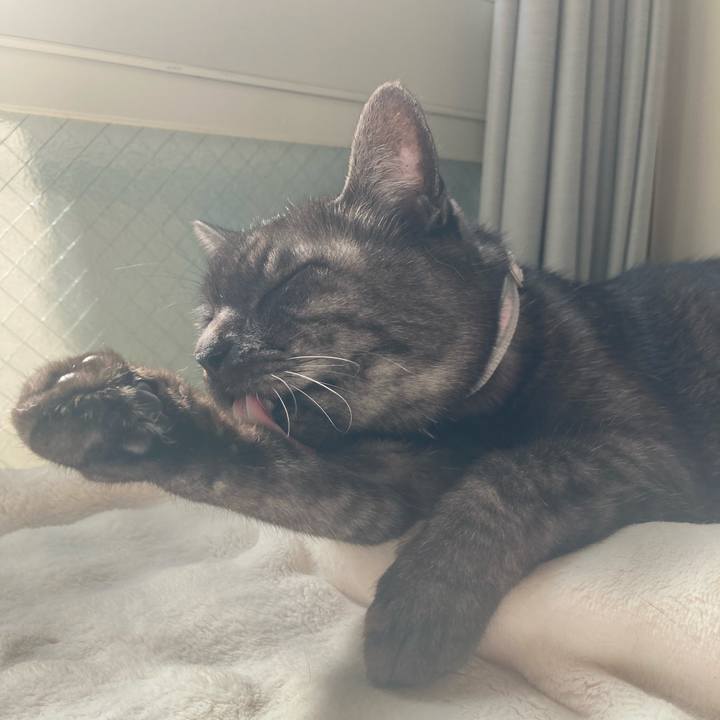 2b34cf53 e57a 4799 88fc de32aeee73bd 1771124390349