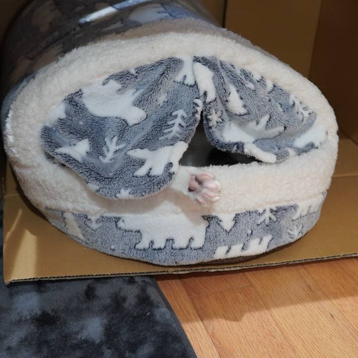 2b34f325 3983 4f3f 9453 530e1100e3e6 1608527808053