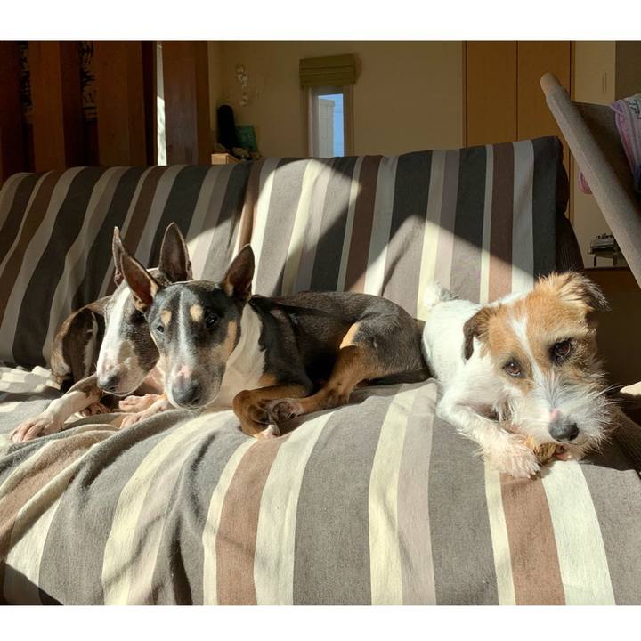 2b34fae5 3de1 45c9 8584 a00550ad6b3e 1606533238212