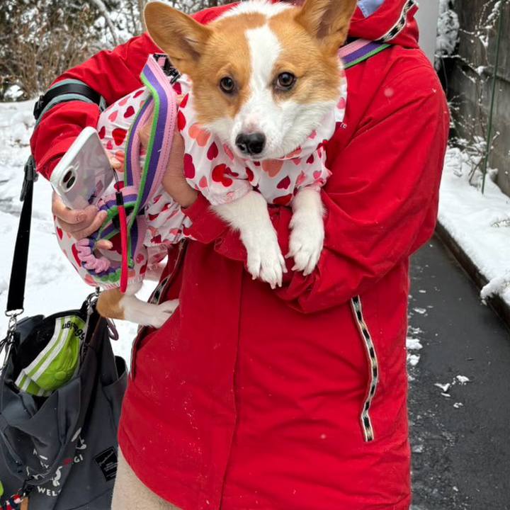 2b34fe3b c048 44ee 8964 6fd459030de8 1770518874932