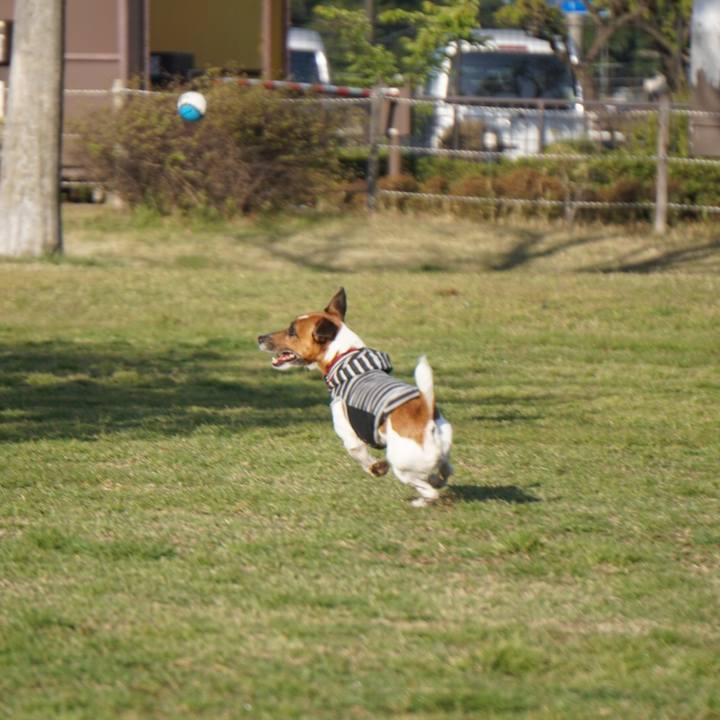 2b3508fd 3c5a 4f41 990a 2f73cc60b28b 1554935455149