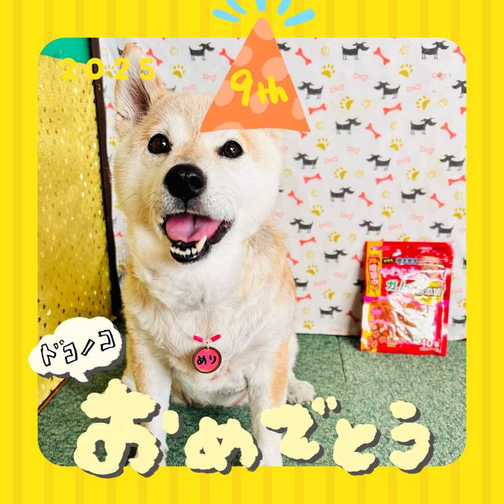 2b35166f 02f6 4859 b4a2 532c4412e004 1749188559416