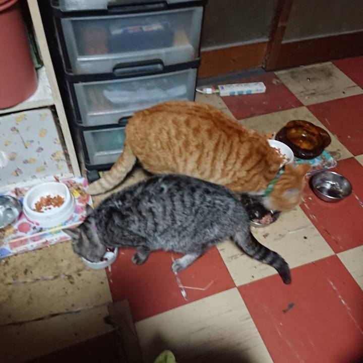 2b355213 ef6b 4fe1 b157 0fbad0154d1f 1581626340955