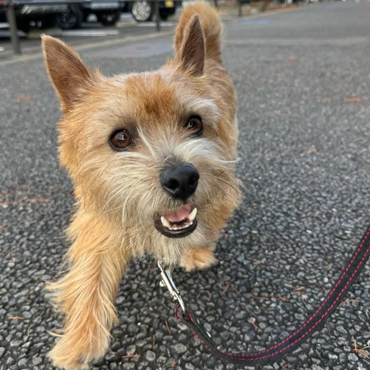 2b35b774 cb6a 406b 8bb2 19989677d092 1736265767371