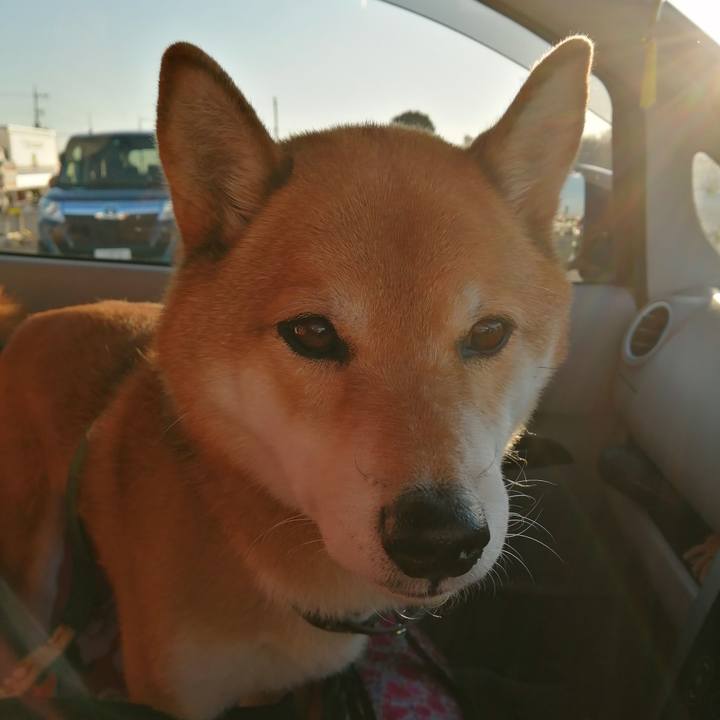 2b361a8c 8ee4 4773 ac40 ff8b988018a5 1638522540020