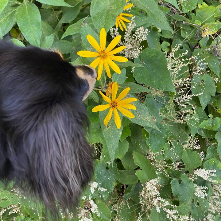 2b362621 794b 4777 ac3a 5ca5092cb5d2 1694564010755