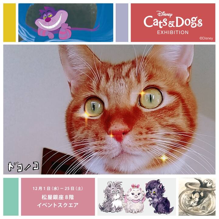 2b362b6f 6e8a 418a 8ea3 1e54018779b2 1638327534501